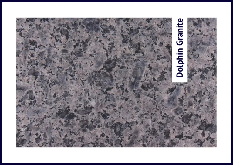 Dolphin Granite